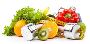 Top 10 Dietitians in Delhi | Expert Nutritionists 