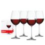 Spiegelau Salute 19.4 oz Red Wine Glass | BistroToRestro