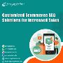 Customized Ecommerce SEO Solutions for Increased Sales