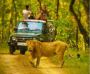 Effortless Gir National Park Safari Booking Online for Wildl