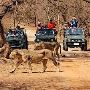 Experience  Devaliya Park Safari Booking  for Diverse Wildl