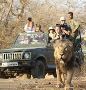 Get Devalia Safari Booking for Extraordinary Journey Get Devalia Safari Booking for Extraordinary Journey