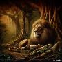 Explore Gir Safari Online Booking for Rich Biodiversity