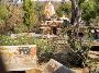Book Kankai Temple Safari for Memorable Experience 
