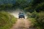  Secure Gir Jungle Safari Booking for Terrain 