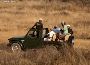 Arrange Gir National Park Jeep Safari Booking for Beautiful 