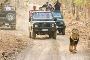 Get Gir Jeep Safari Booking Online for Asiatic Lions