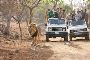 Plan Devalia Safari Booking Online for Wildlife Experience 