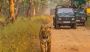 Reserve Devalia Safari Park Booking for Easily Tickets