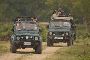 Reserve Gir Jeep Safari Booking Online for Peaceful Trip