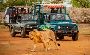 Get Devaliya Park Online Booking for Extraordinary Trip