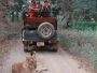Plan Gir Jeep Safari Booking Online for Unique Ecosystem