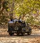 Get Gir Jeep Safari Booking Online for Gorgeous Panoramas