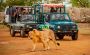 Reserve Your Spot In Devaliya Park Safari Booking for Visit