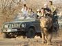Plan Gir Jeep Safari Booking Online for Seamless Experience 