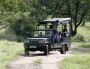 Reserve Sasan Gir Jeep Safari Booking for Smooth Wild Thrill