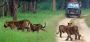 Reserve Gir Jeep Safari booking for Wildlife Trip Journey 
