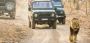 Reserve Devaliya National Park Booking for Adventurous Trip 