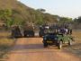 Get Sasan Gir Jeep Safari Booking With Experienced Guides 