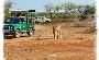 Plan Devalia Safari Booking Online for Unique Trip