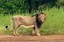 Reserve Devaliya Park Online Booking for Adventure