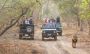 Get Devaliya Park Safari Booking for Wild Experience