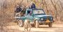 Secure Gir Jeep Safari Booking for Thrilling Journey