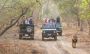 Plan Devaliya National Park Booking to Secure Your Safari 