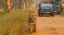 Secure Sasan Gir Jeep Safari Booking for Seamless Experience