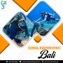 Coral Restoration Bali