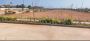 DC Converted Premium Residential Plots with tons of AMENITIE