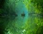 Sundarban Tour Package with Hotel Sonar Bangla Now