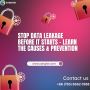 Protect Your Data: Prevent Leaks Before They Cost You