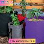 Harvest Success with Our Durable Grow Bags