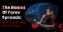 The Basics Of Forex Spreads: What Every Trader Should Know
