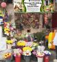 Shyam Wedding Florist Decoration - 7310301111