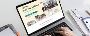 Hire Best Shopify Website Development Company for Online Bra