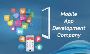 Hire Best Mobile App Development Company In Delhi