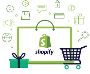 Partner With Shopify Web Development Company for E-Commerce 