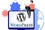 Choose Best Website Development Company in Delhi for Secure 