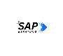 SAP Beratung