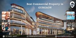 Best Commercial Property in Gurgaon - Sapient Realty