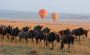 Kenya Tour Packages