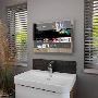 22″ Sarason LG webOS Smart Waterproof Black Bathroom TV 