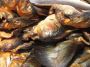 A Sarco International Food Store- Dried/Smoked Seafood