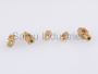 Essential Guide to Choosing the Right Brass Terminals for Yo