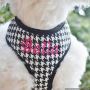 Stylish and Durable Accessories for Your Pet