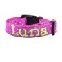 Make It Personal – Get a Dog Collar with Name Today!