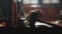 Best Bail Lawyers for Anticipatory & Regular Bail in Delhi