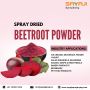 Beetroot Powder Premium Manufacturer from Ahmedabad, India